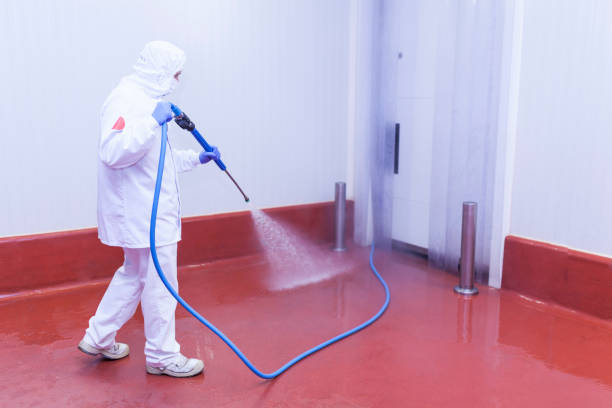  Keystone Heights, FL Pressure Washing Pros
